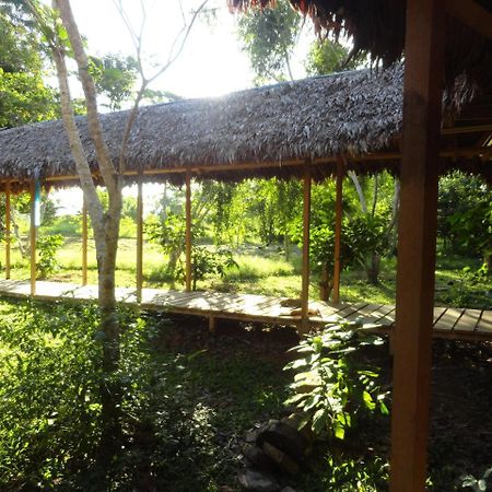 Albergue Sotupa Eco House Puerto Maldonado Exterior foto
